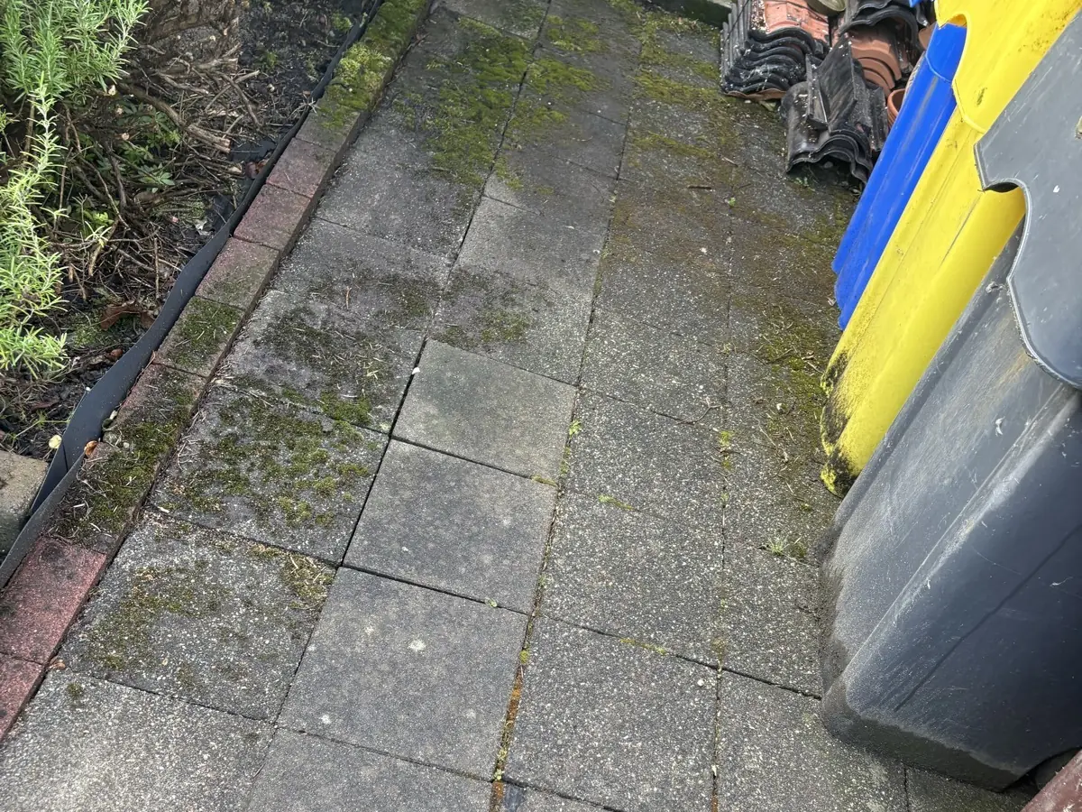 Gehwegplatten in der Hofecke vor der Reinigung – fleckig und vermoost